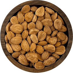 مغز هسته زردآلو فله